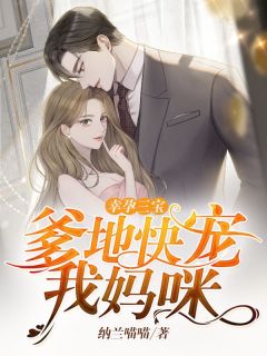 幸孕三宝:爹地快宠我妈咪