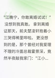 二婚女人,让冰山总裁疯狂