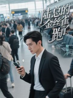 《陆总的金丝雀跑了》乔伊陆霆枭小说全本免费试读