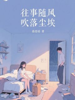 《往事随风,吹落尘埃》夏曦薇顾泽鸿章节列表精彩阅读