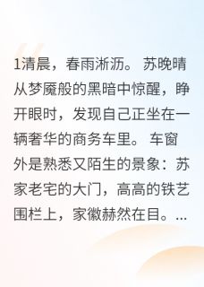 真假千金:重生断亲小说全集免费在线阅读(苏晚晴林雪苏国霆)