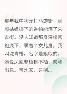 《我，女扮男装，夺了天下》周砚高嵩洛水章节目录在线试读