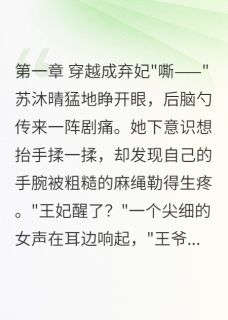 锦绣风华:王妃的逆袭之路