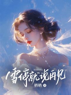 《雪停就说再见》小说全文精彩阅读 温言初蒋怀川小说阅读