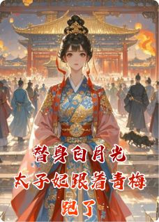 替身白月光，太子妃跟着青梅跑了小说 顾宛宁燕昭萧景珩小说叫什么