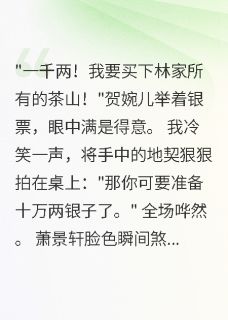 穿越后我成了钱庄老板娘