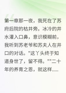 苏家养了我二十年只为灭口萧瑾琰慕香全文免费试读