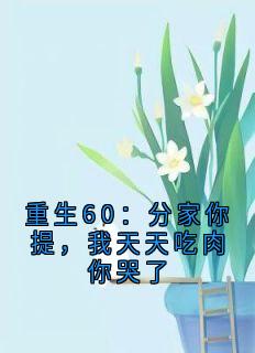 重生60：分家你提，我天天吃肉你哭了