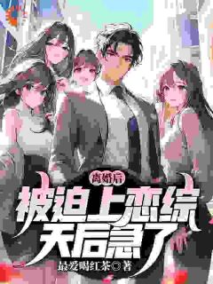 《离婚后,我成为她的意难平》完结版在线阅读 《离婚后,我成为她的意难平》最新章节列表