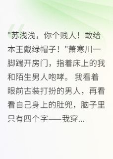 穿成王爷弃妻后我成了朝堂第一人