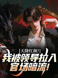 天降红颜？我被领导拉入官场暗流！