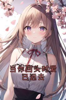 当你回头时爱已远去夏叙言槐序全文免费试读