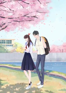 《云散后飞鸟不归》小说章节列表免费试读 沈岁聿孟晚棠陆槐桉小说全文