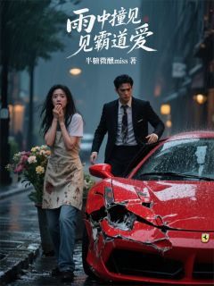 雨夜撞见霸道爱