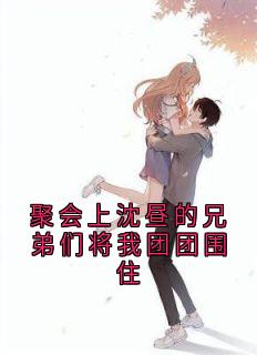 聚会上沈昼的兄弟们将我团团围住