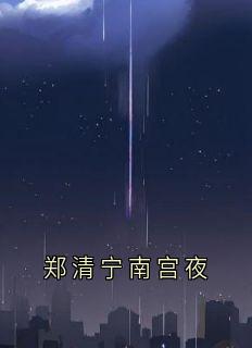 郑清宁南宫夜