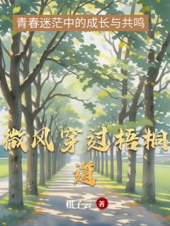 微风穿过梧桐道