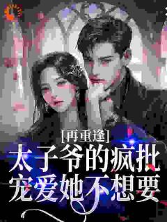 再重逢,太子爷的疯批宠爱她不想要