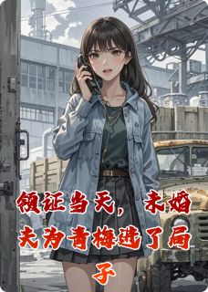 《领证当天,未婚夫为青梅进了局子》小说完结版精彩阅读 陈辉李志高苏晚意小说全文