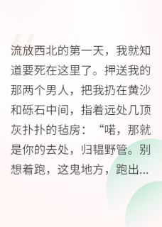 流放后,我靠美食成了西北女王
