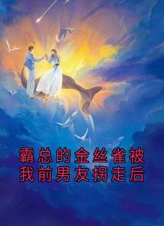 霸总的金丝雀被我前男友拐走后南乔箫承渊小说精彩章节免费试读