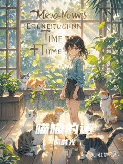 喵喵的邂逅时光