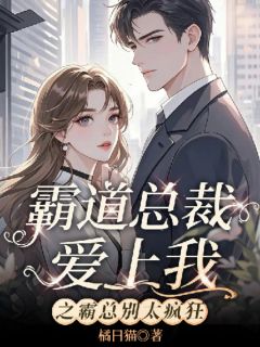 霸道总裁爱上我之霸总你别太疯狂