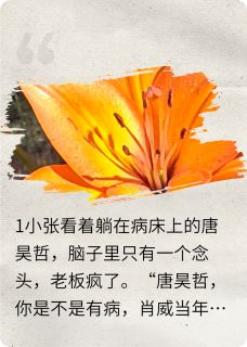 捐肾给情敌后情敌歇菜了