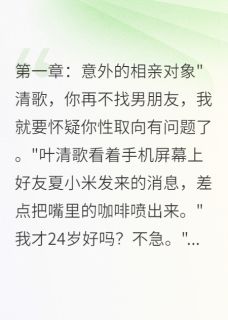 网恋奔现后发现他比我大十五岁完整版小说在线阅读地址 主角叶清歌萧景深