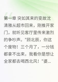 好书推荐《丈夫被包养的真相》顾北辰沈清雅全文免费试读