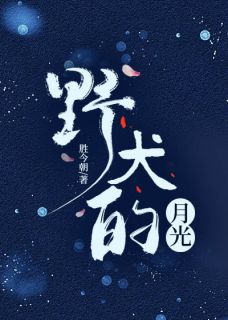 野犬的月光