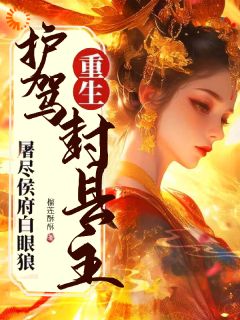 《重生护驾封县主，屠尽侯府白眼狼》小说章节目录免费阅读 沈书仪齐衡小说全文