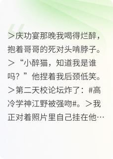 吻了哥哥的死对头，校霸让我负责