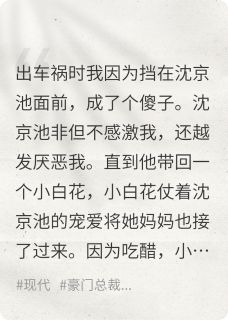 被折磨三年黑带九段的我杀疯了