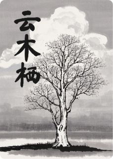 偏执替身给我下情蛊后我却失忆了