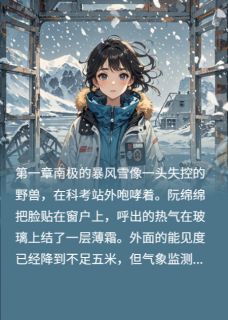 《企鹅、极光与你》小说免费阅读 阮绵绵程曜小说大结局免费试读