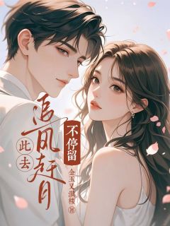 此去追风赶月不停留