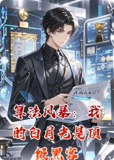 算法风暴：我的白月光是顶级黑客