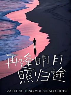 再逢明月照归途小说全文免费阅读 沈念安陆铭修沈叶颜章节目录精彩章节