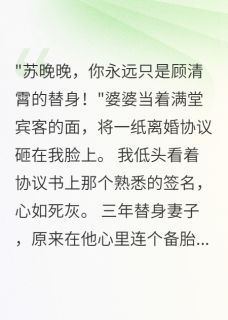 前夫跪求复合时我已是总裁