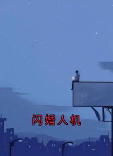 闪婚人机