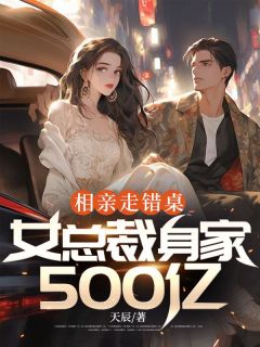 相亲走错桌,女总裁身家500亿