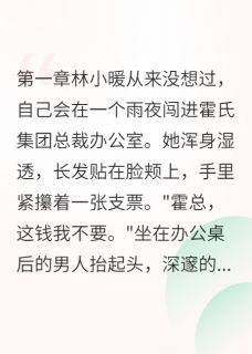 《怀着他的孩子嫁给他》林小暖霍景深全部章节目录