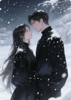 沈先生的私有物