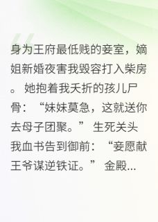 《废妾血书告御状,王爷跪求我饶命》周清雅梁王全部章节目录