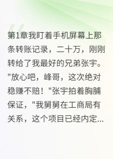 《兄弟骗我钱开店我举报他坐十年牢》小说全文精彩章节在线阅读(张宇张磊)
