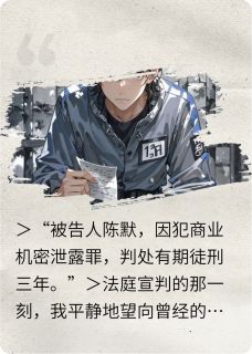 背锅入狱三年，我成了他们新总裁