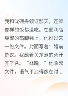 闪婚对象，竟然是公司新来的总裁全章节免费在线阅读 沈砚舟林崇山小说完结版