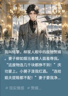 我是隐藏身份的豪门继承人赘婿