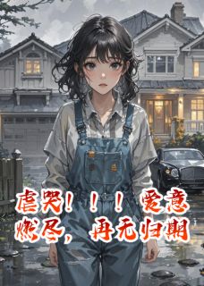 《虐哭!!!爱意燃尽,再无归期》小说章节列表精彩试读 苏晚陆子川小说全文